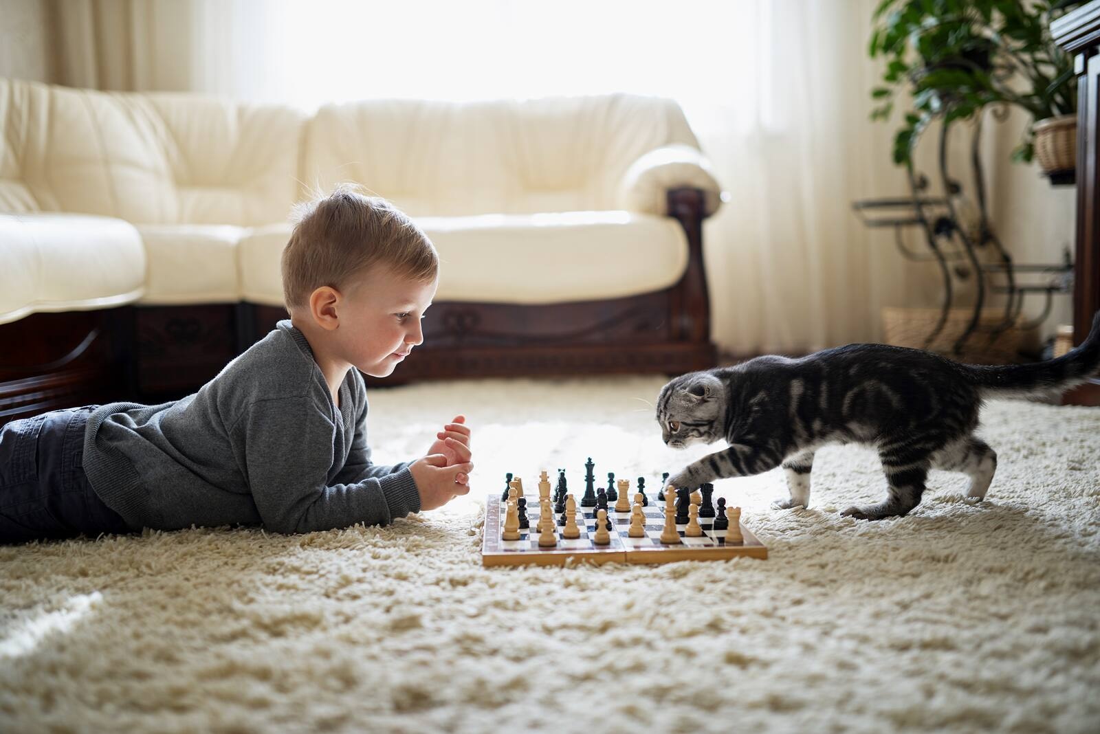 little-boy-plays-chess-lying-on-floor Little boy lies on the ground with a chess board, while a tabby cat paws at one of the pieces.