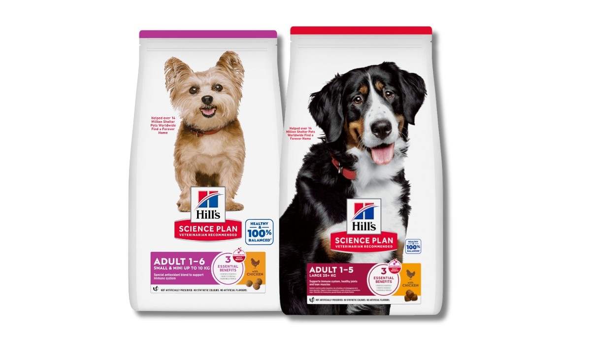 דיאטת מדע לגזעים קטנים וגדולים