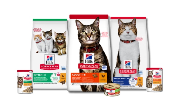 מבחר תזונה לחתולים Science Plan בשקיות, פחיות ושקיות