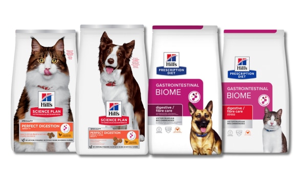 אריזת מזון אקטיב ביום של הילס