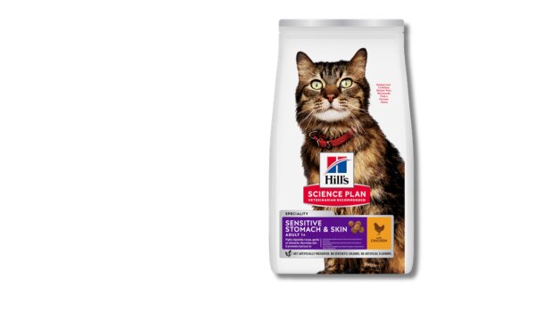 תוכנית מדעית בריאות מערכת העיכול מזון לחתולים