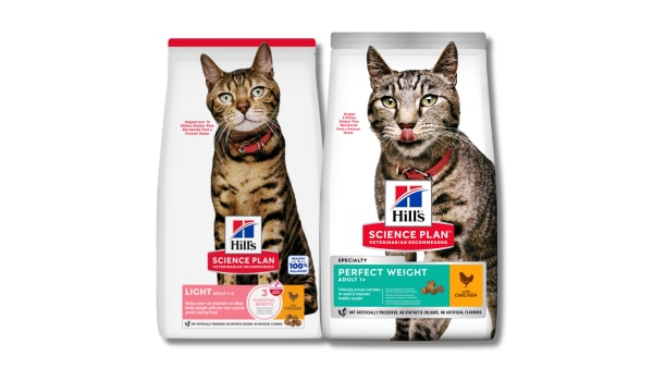 מזון חתולים קל ומשקל מושלם