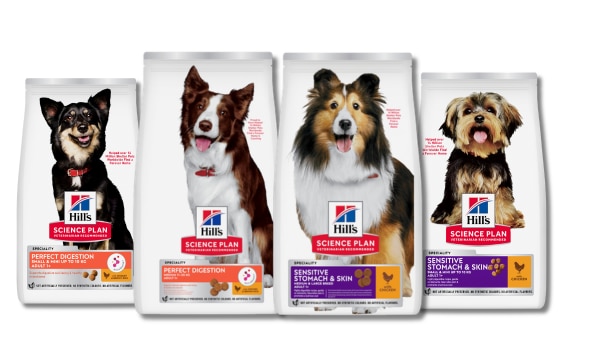 Digestive health dog foods