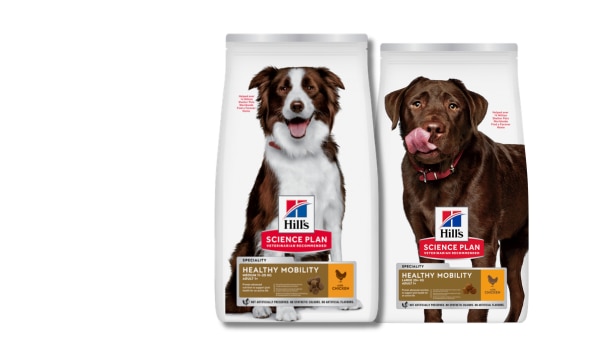 Science Diet dog foods