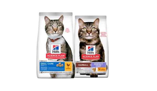 מזונות לחתולים לבריאות הפה, מערכת השתן ופרווה מושלמת