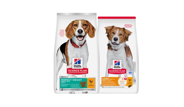 Weight management dog foods