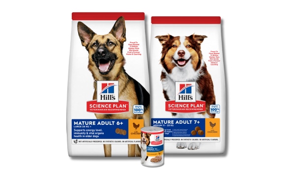 סדרת מזון Hill's Science Plan עבור גזעים שונים
