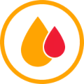 Blood in urine icon