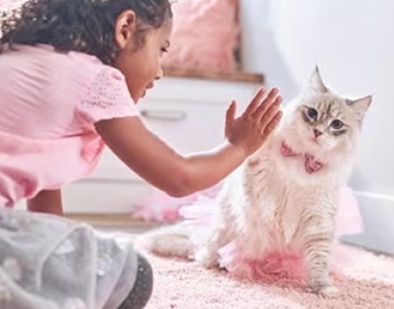 ילדה קטנה משחקת עם גור חתולים