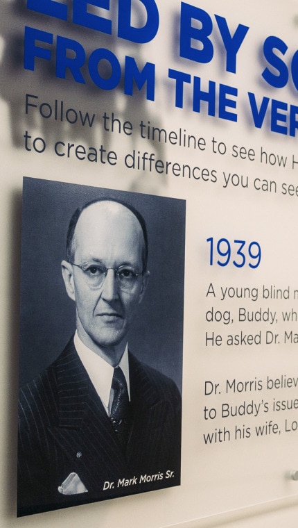 ציר זמן של ההיסטוריה של הילס על קיר בתוך מרכז התזונה