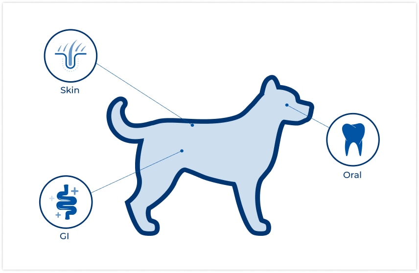 location of microbiomes on dog
