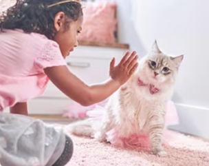 ילדה קטנה משחקת עם גור חתולים