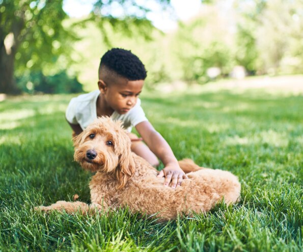 A young boy petting a dog sitting in the grass