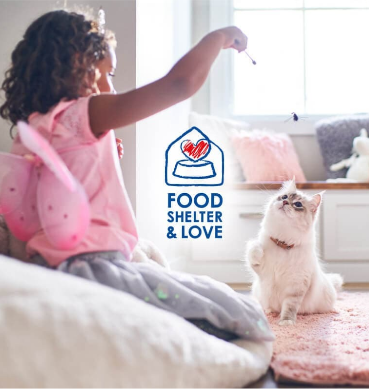 ילדה משחקת עם החתול שלה